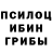 Псилоцибиновые грибы Psilocybe Kural Muslim