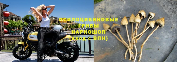 бошки Абаза